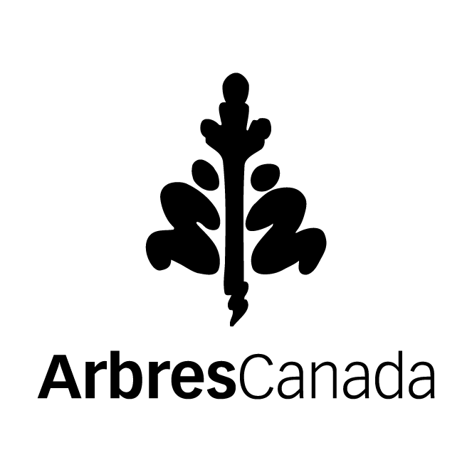 Tree Canada Logo